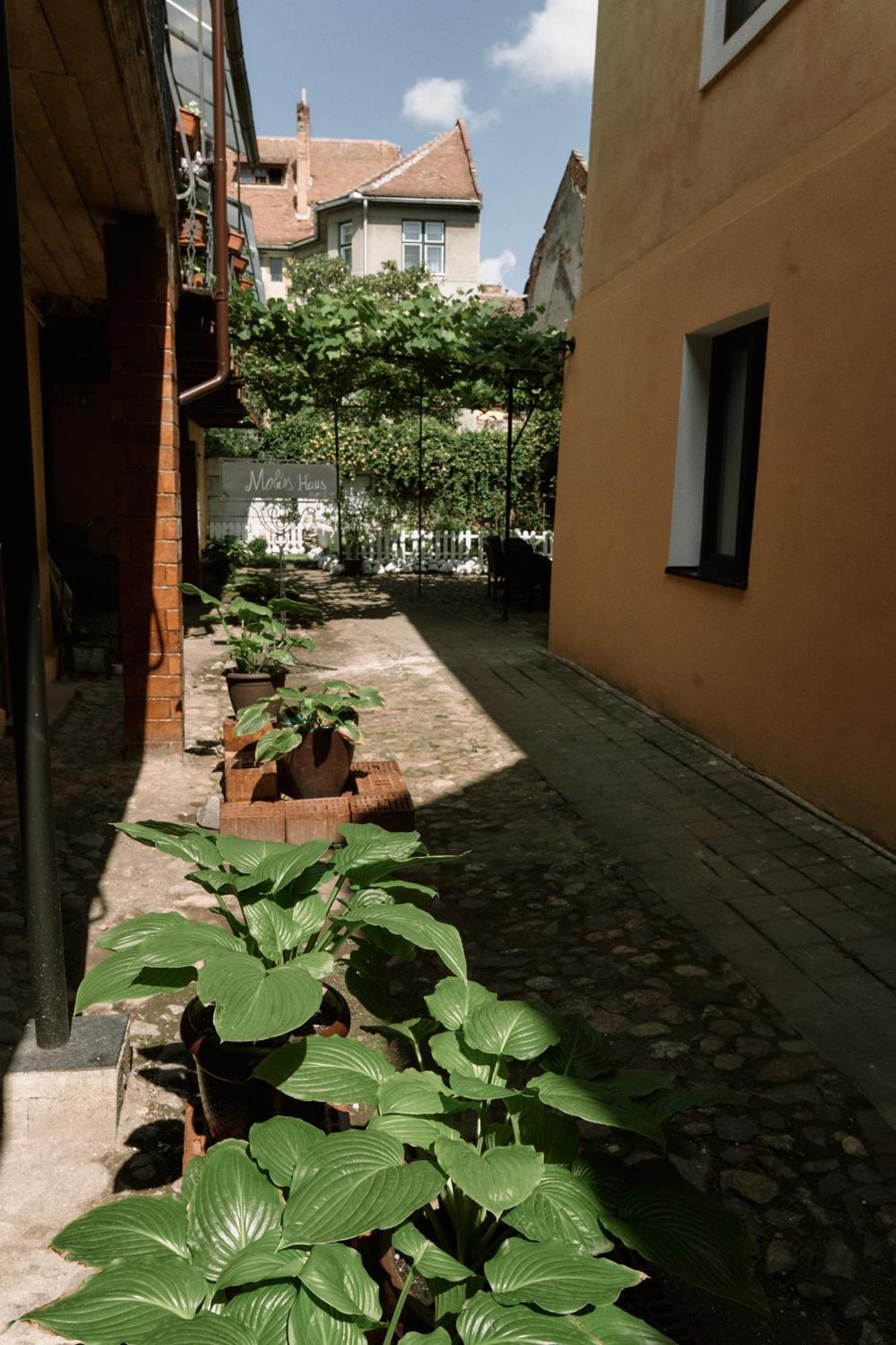 Centro Studio 20 Sibiu Esterno foto
